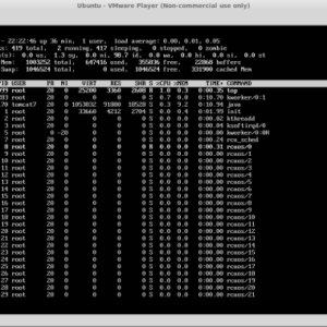 Perfctl stealthy malware infected linux systems