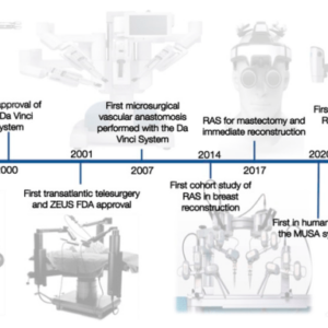 These newly identified cells could change the face of plastic surgery