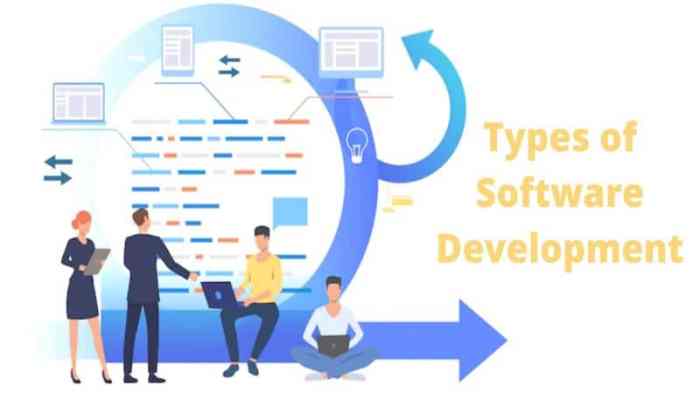 Types of software development