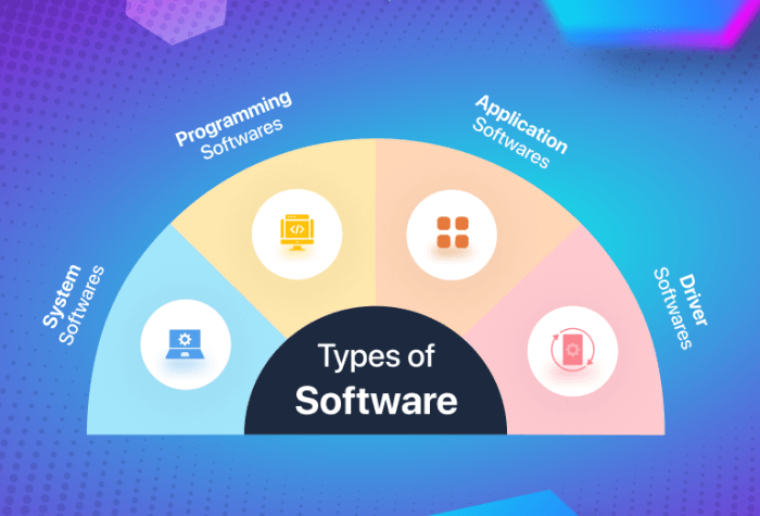 Software development infographic building phases automation industrial definition design projects services essential process ensure project dragon1 application steps management solutions