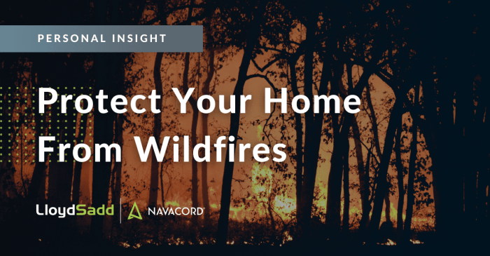How to save your home from a wildfire