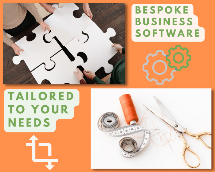 Custom enterprise software development