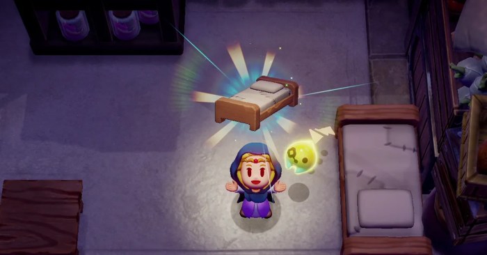 Players turning legend of zelda echoes of wisdom echoes into cheat codes