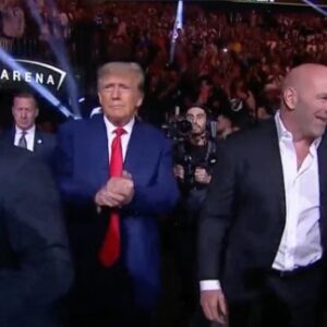 Donald trump jake paul fight invite