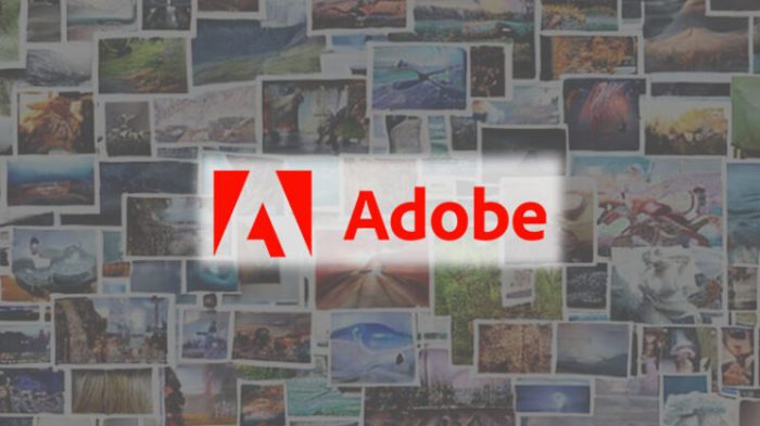 Adobe says it wont train ai using artists work creatives arent convinced