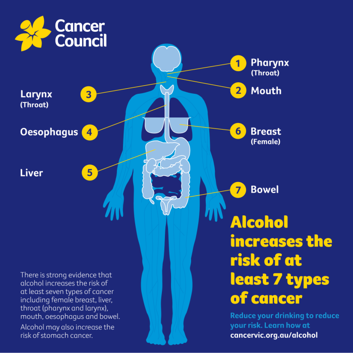 Cancer alcohol risk drinking associated moderate levels researchers estimated have debuglies
