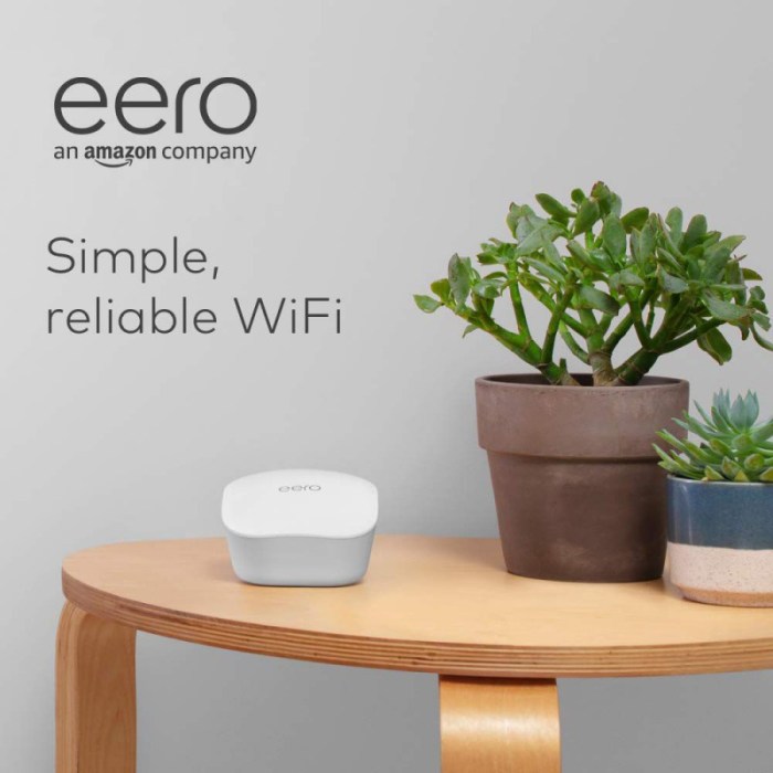 Best eero wi fi mesh router