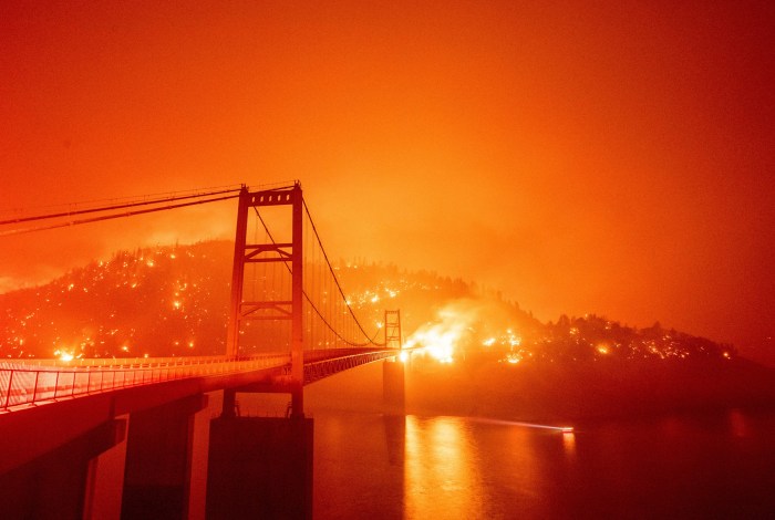 The devastating los angeles fires in pictures