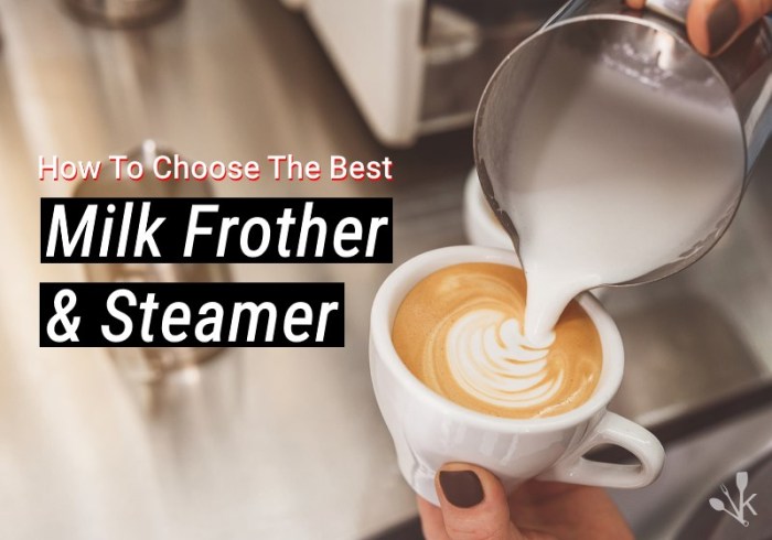 Best milk frothers