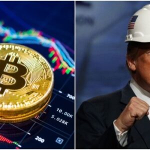 Donald trump bitcoin reserve promises