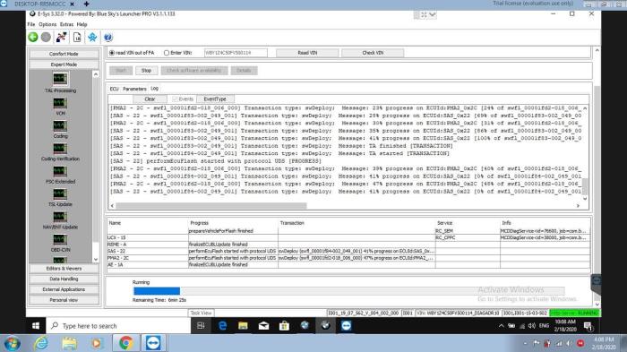 Bmw diagnostic software