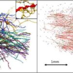 Connectivity unveils
