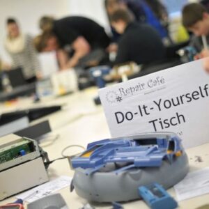 Environmental damage cost global incomes