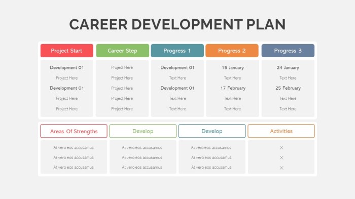 Software developer career path