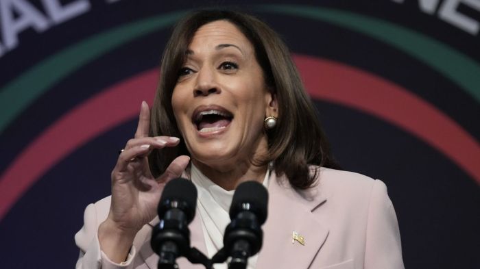Far right attack kamala harris