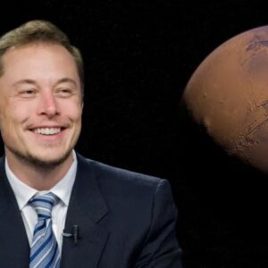 Meta elon musks lead trust safety billionaire friendly texas