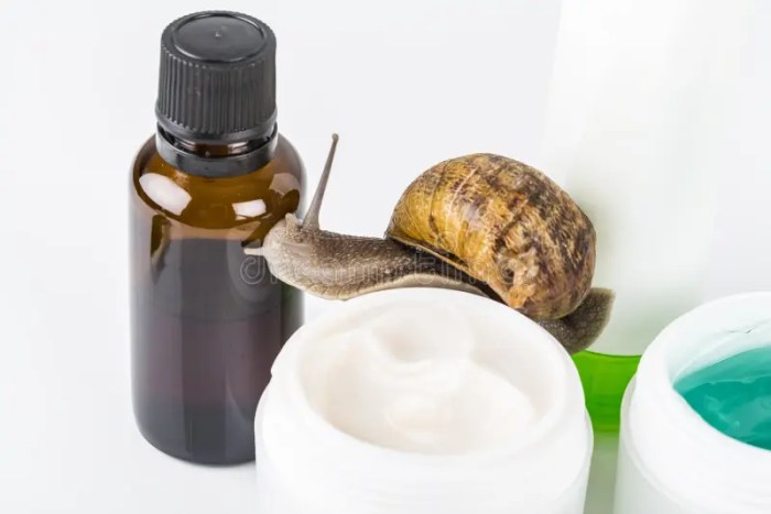 Snail mucin skincare sensation