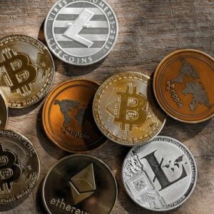 Lawyers hawk tuah crypto promoters suing pumpfun