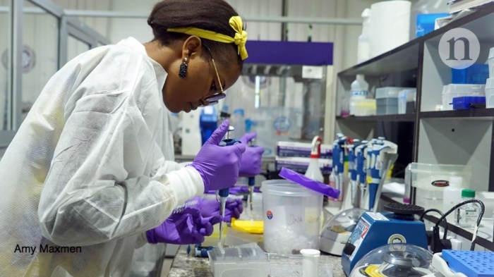 Crispr enhanced viruses are being deployed against utis