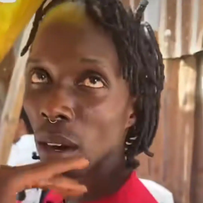 Senators impeachment biden