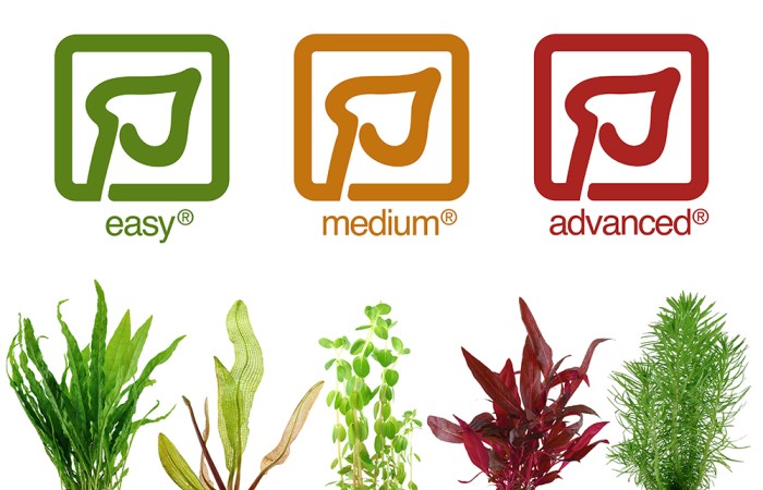 Get ready to eat pond plants