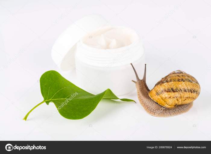 Snail mucin skincare sensation