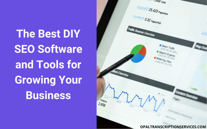 Diy seo software