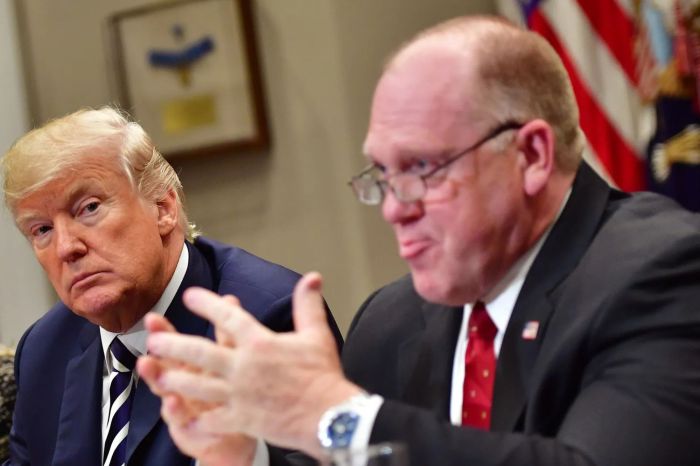 Tom homan trump border czar child separation policies
