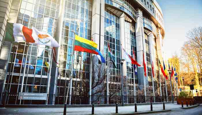 Pirate party european elections eu dma gdpr internet