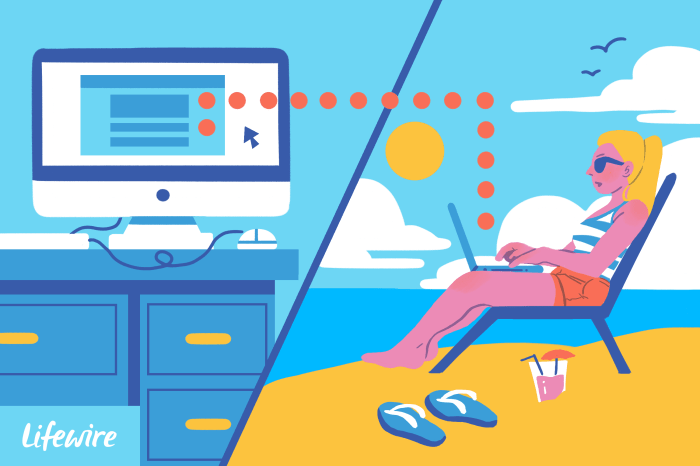 Telnet ssh and vnc are which type of software