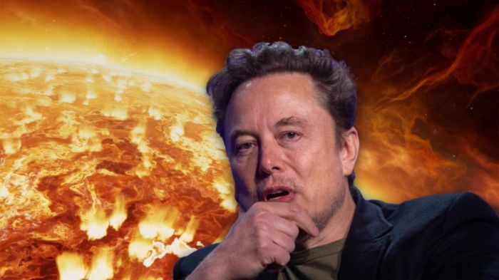 Elon musks quest for domination has gone global