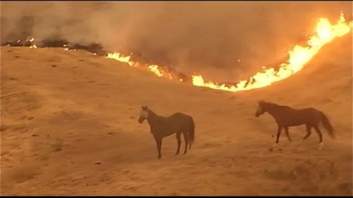 The growing and inexact science of fleeing a wildfire