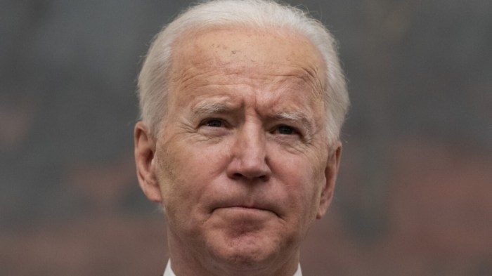 Tom homan trump border czar child separation policies