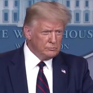 Trump get out the vote online