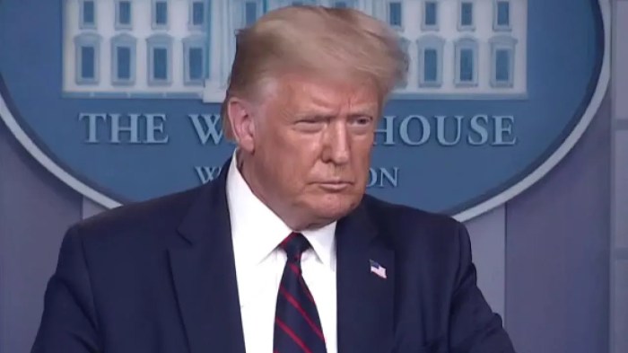 Trump get out the vote online