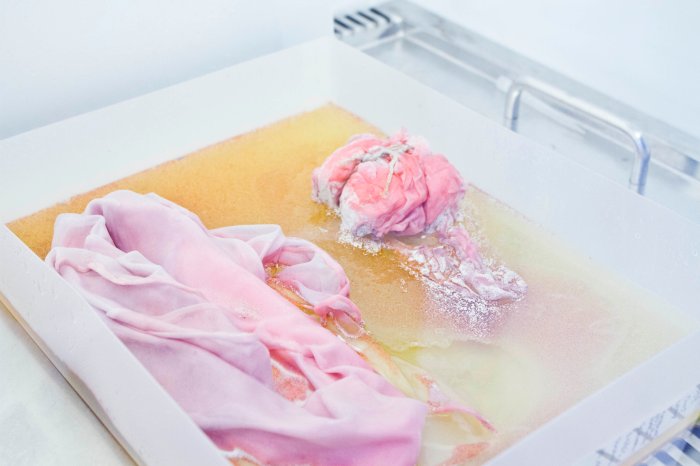 Biomaterials natsai audrey chieza normal phenomena life faber futures