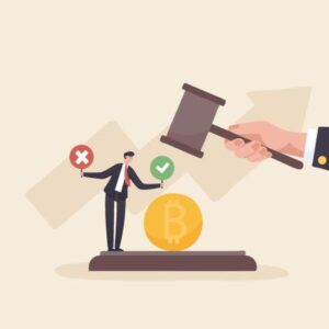 Memecoins cryptocurrency regulation