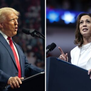 Kamala harris donald trump debate