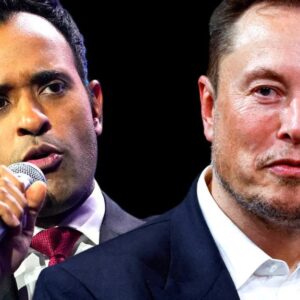 Demystifying doge elon musk vivek ramaswamy