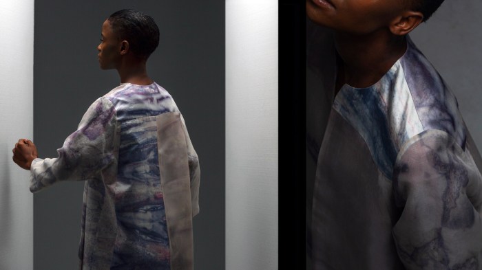 Biomaterials natsai audrey chieza normal phenomena life faber futures