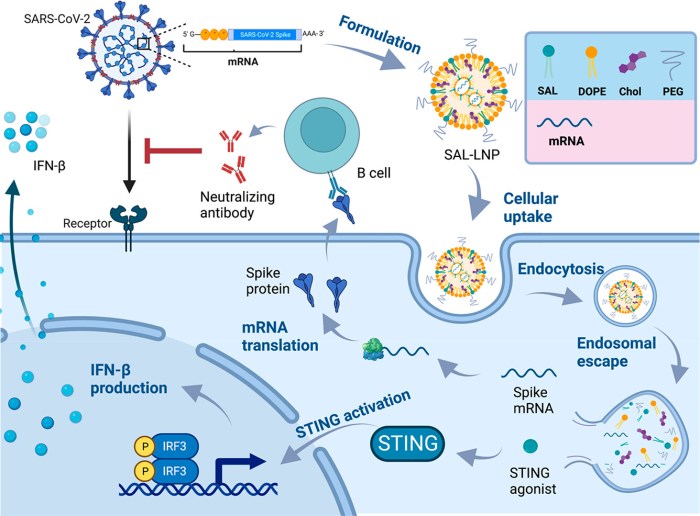 Wired health hub the quest to make an mrna vaccine for flu