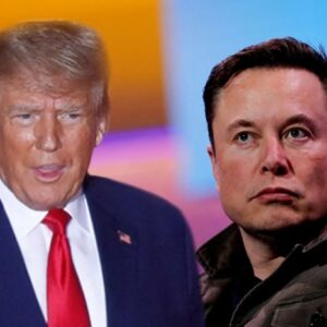 Elon musk trump new administration