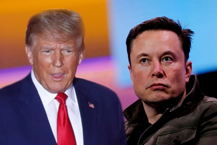 Elon musk trump new administration
