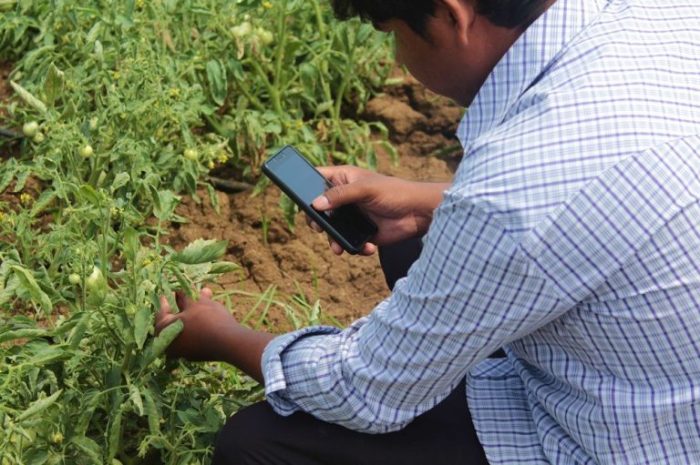 Plantix pesticides venture capital app