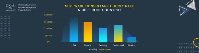 Software consultant salary