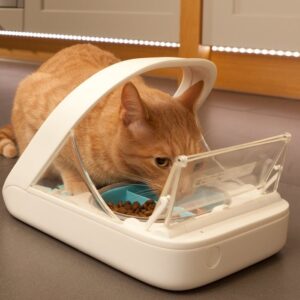 Best automatic cat feeders