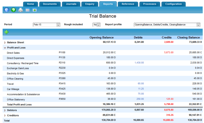 Trial balance software