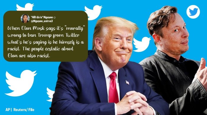 Elon musk trump new administration