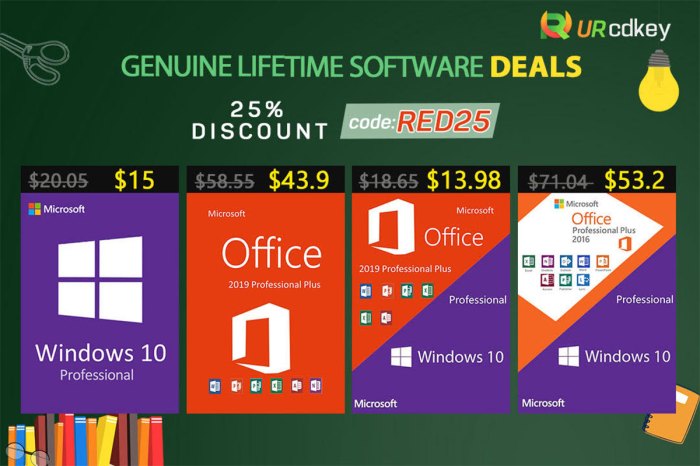 Windows 10 software price