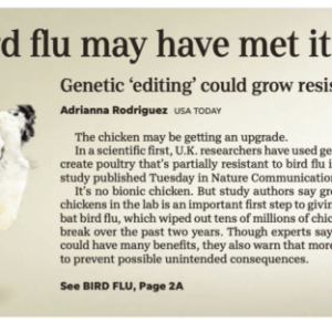 Gene edited salad greens fall pairwise bayer crispr gmo